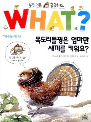 목도리꿩은 엄마만 새끼를 키워요?