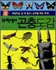 과학쟁이 곤충도감