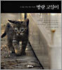 방랑 고양이