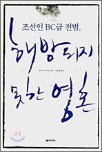 조선인 BC급 전범, 해방되지 못한 영혼