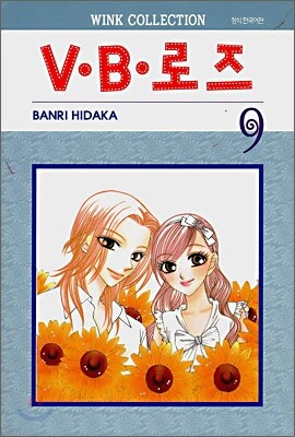 VㆍBㆍ로즈 9