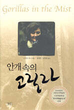 안개 속의 고릴라