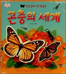 곤충의 세계