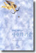 로버트 스턴버그의 사랑의 기술