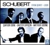 Quatuor Ebene 슈베르트: 현악 오중주, 가곡 - 에벤느 사중주단 (Schubert: String Quintet D956, Lieder)