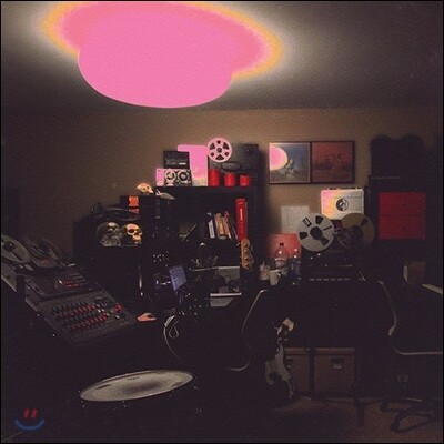 Unknown Mortal Orchestra (언노운 모털 오케스트라) - Multi-Love