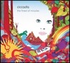 Ciccada - 2집 The Finest Of Miracles [LP]
