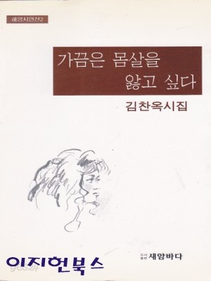 가끔은 몸살을 앓고 싶다 - 김찬옥 시집 (해양시인선 2)