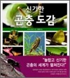 신기한 곤충 도감