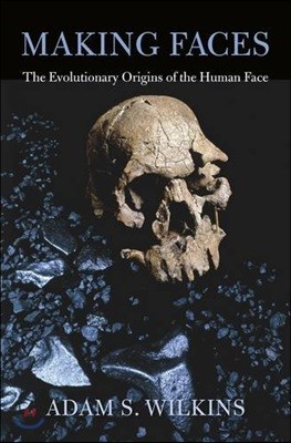 Making Faces : The Evolutionary Origins of the Human Face