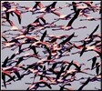 Deftones (데프톤즈) - Gore