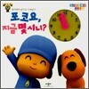 포코요, 지금 몇시니?