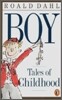 Boy : Tales of Childhood