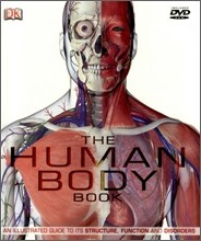The Human Body : The Ultimate Visual Guide to Anatomy, Systems and Disorders