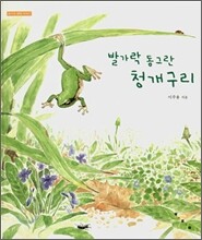 발가락 동그란 청개구리