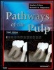 Pathways of the Pulp
