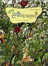 꼬물꼬물 곤충이 자란다