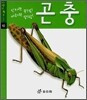 곤충