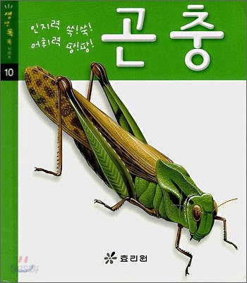 곤충