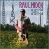 Raul Midon - A World Within A World