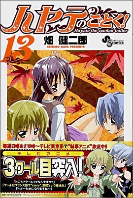 ハヤテのごとく! 13