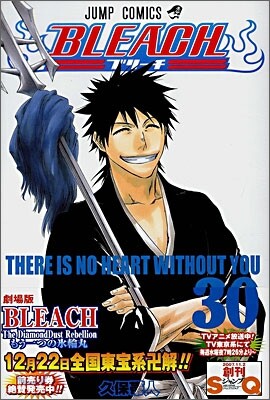 BLEACH ブリ-チ 30