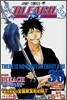 BLEACH ブリ-チ 30