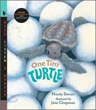 One Tiny Turtle (Book & CD)