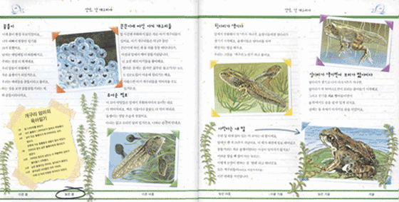 안녕, 난 개구리야