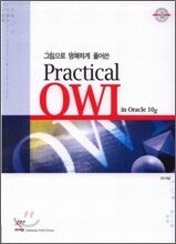 Practical OWI in Oracle 10g