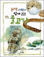 놀라운 과학이 담겨 있는 물고기