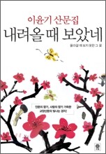 내려올 때 보았네