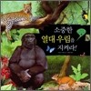 소중한 열대 우림을 지켜라!