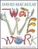 The Way We Work: Getting to Know the Amazing Human Body