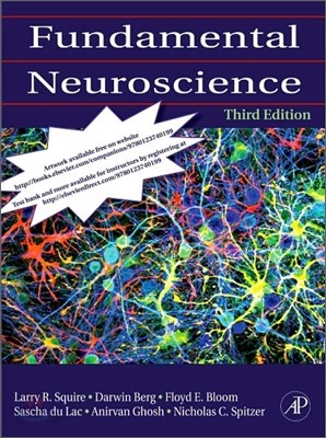 Fundamental Neuroscience