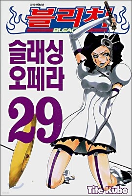 블리치 BLEACH 29