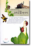 우리곤충 백가지