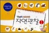 창의적 미술교육 자연관찰 1