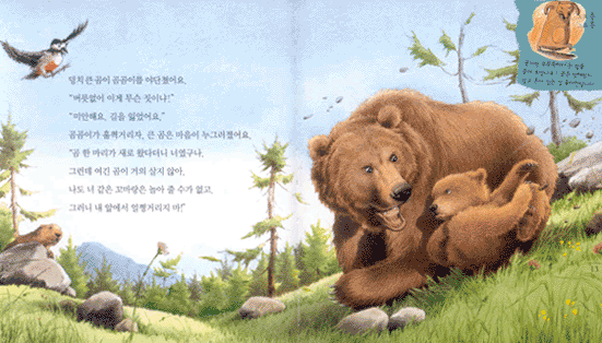 곰이 궁금해