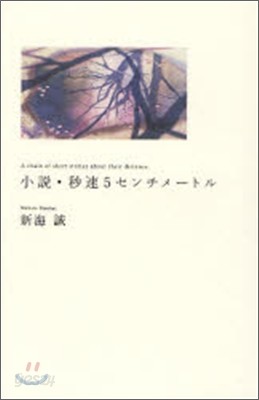 小說 秒速5センチメ-トル