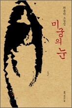 미궁의 눈