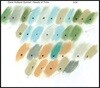 Dave Holland Quintet (데이브 홀랜드 퀸텟) - Seeds Of Time