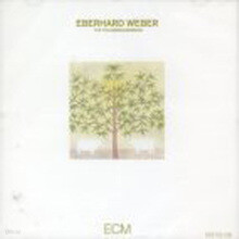 Eberhard Weber - The Following Morning