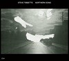 Steve Tibbetts (스티브 티베츠) - Northern Song