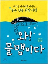 와! 물맴이다