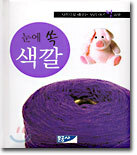 눈에 쏙 색깔