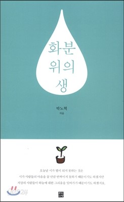 화분 위의 생