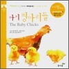 아기 병아리들