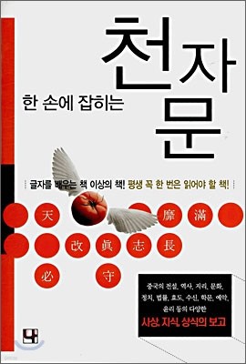 한 손에 잡히는 천자문