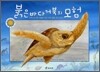 붉은바다거북의 모험